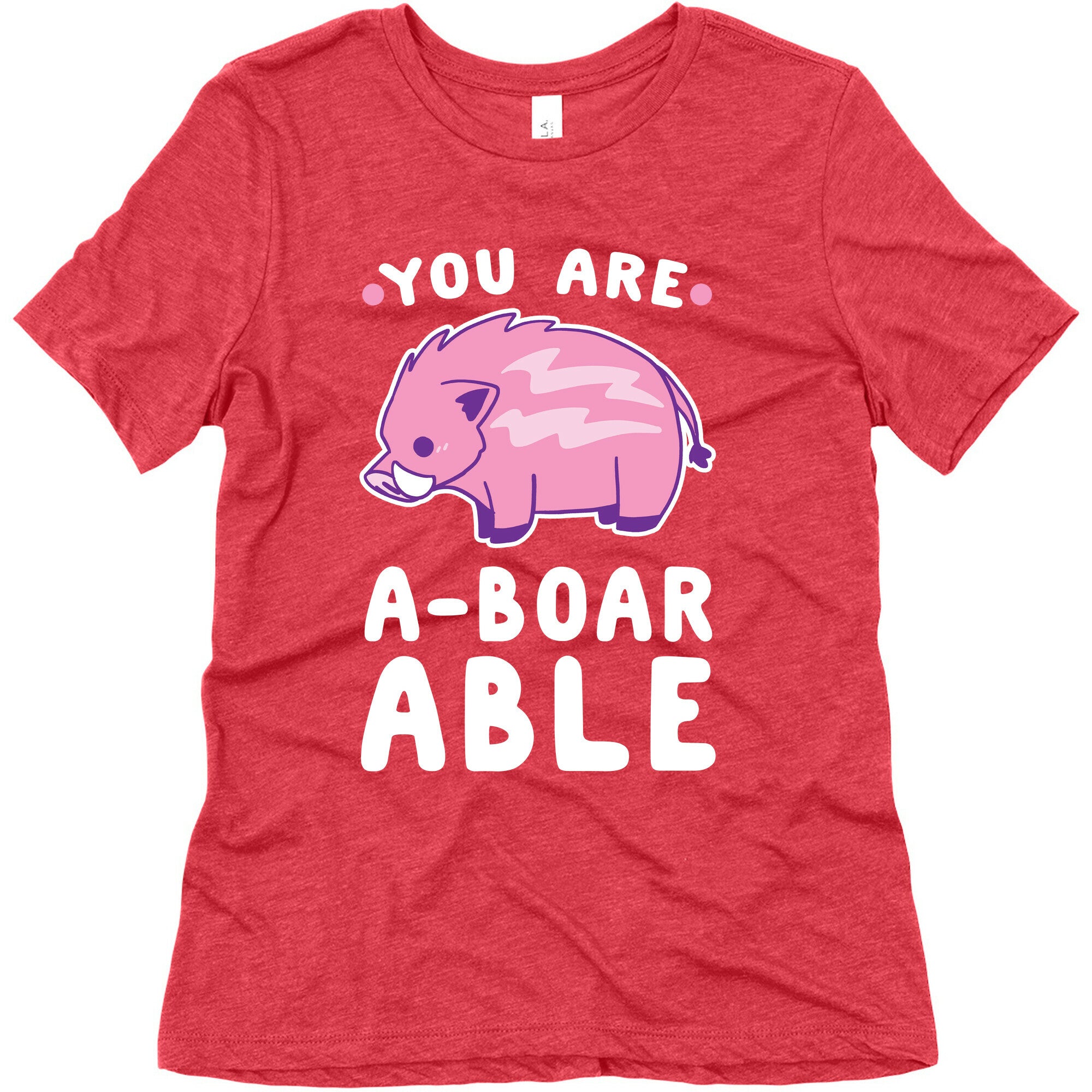 You are Aboarable Women's Triblend Tee